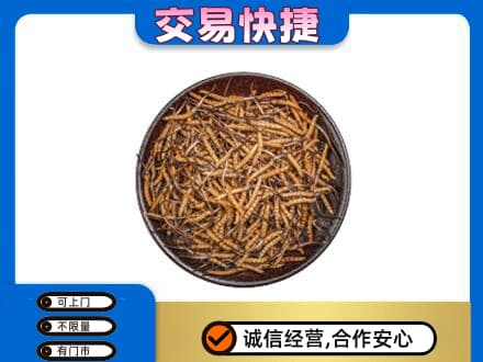 常州回收散虫草